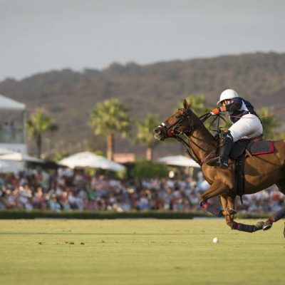 Encouraging polo in schools and universities across the United Kingdom header image